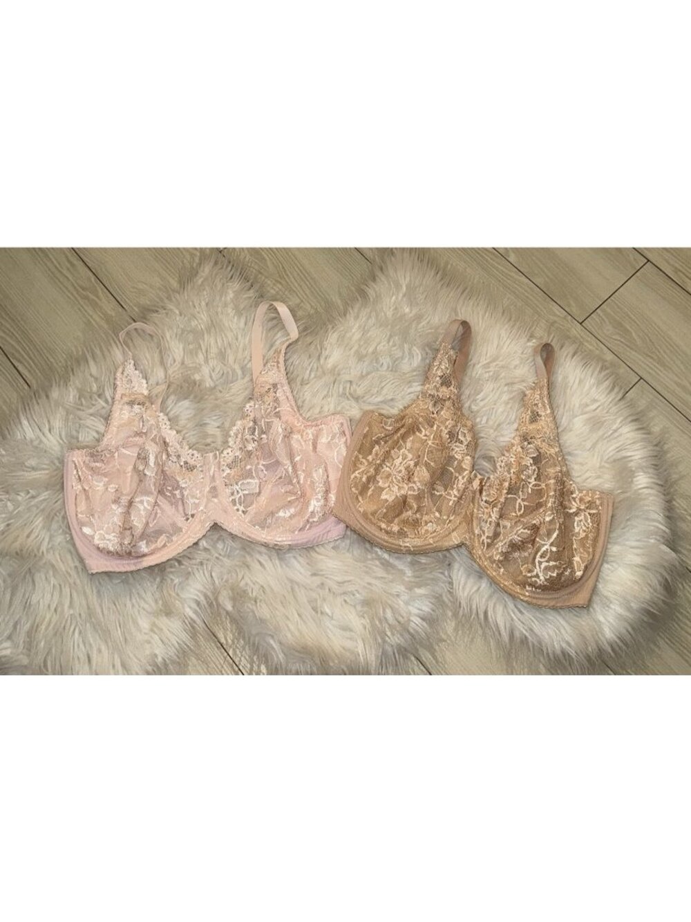 2 Charnos 116501 Rosalind Underwire Semi Sheer Lace Full Cup Bras Womens UK 34F